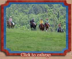 Fantasia Farm